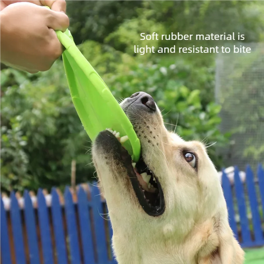 TPR Flying Disc Dog Toy – Bite-Resistant Interactive Fetch & Training Toy