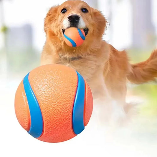 Tough Elastic Dog Fetch Ball – Durable Chew & Bounce Toy