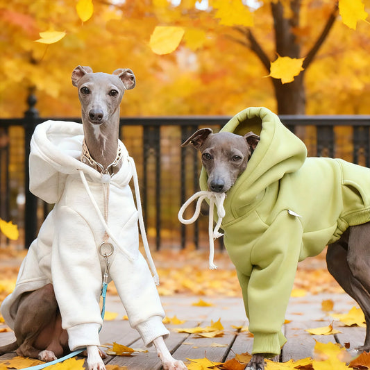 Fleece Greyhound Hoodie – Warm Long-Sleeve Winter Sweatshirt for Medium Dogs