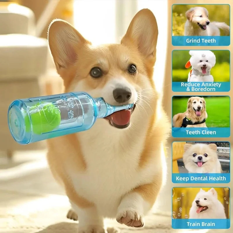Beer Bottle Pet Chew Toy with Tennis Ball – Squeaky Interactive Toy for Dogs & Cats