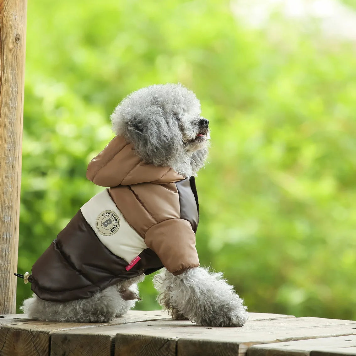 Thickened Padded Dog Winter Vest – Warm Outdoor Pet Jacket