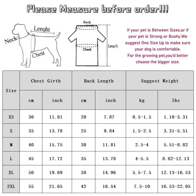 Bear Baseball Pet Jacket – Cozy Sporty Winter Coat for Dogs & Cats