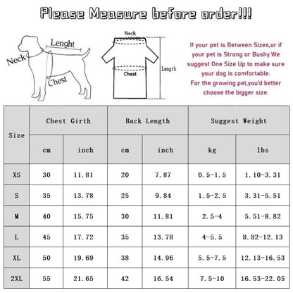 Bear Baseball Pet Jacket – Cozy Sporty Winter Coat for Dogs & Cats