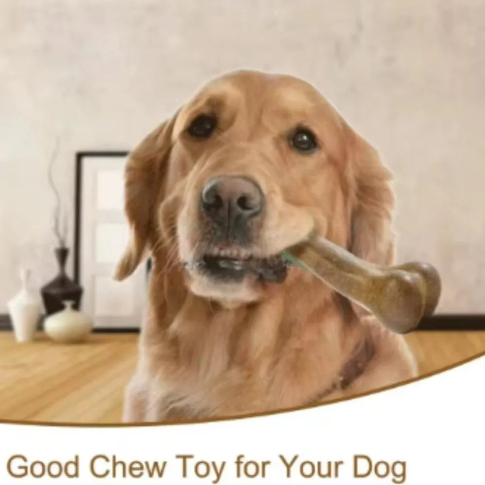 Natural Dog Bone Chew Toy – Tough Teething & Dental Toy