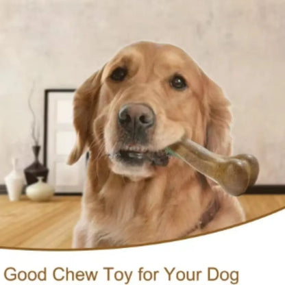 Natural Dog Bone Chew Toy – Tough Teething & Dental Toy