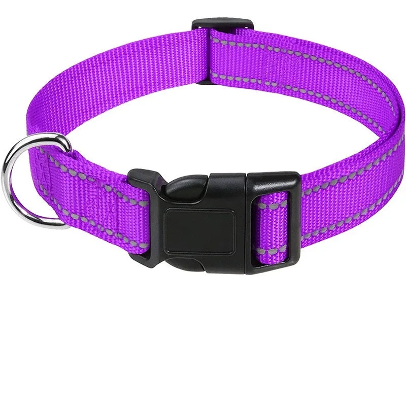 Stylish Choker Dog Collar – Decorative Puppy Neck Collar