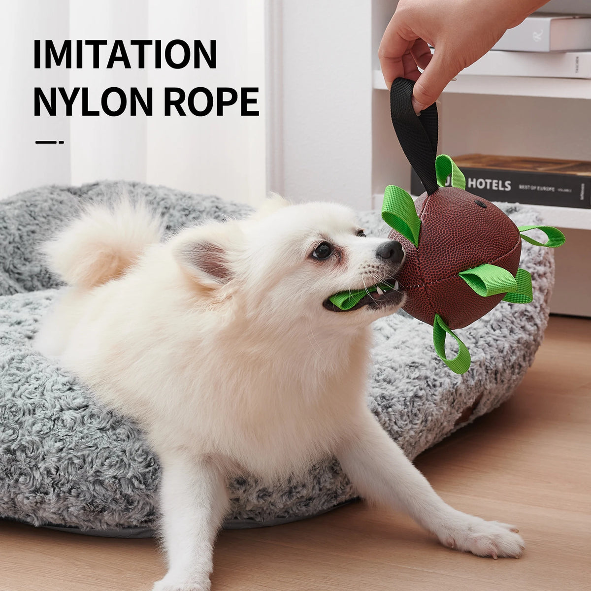 Interactive Football Dog Toy – Tug, Fetch & Water Play