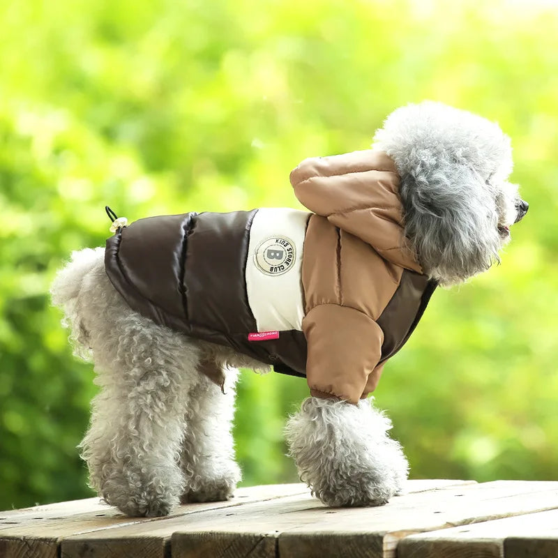 Thickened Padded Dog Winter Vest – Warm Outdoor Pet Jacket