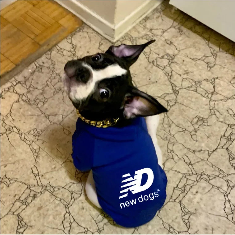 Casual Warm Pet Hoodie – Fashion Sweatshirt for Small to Large Dogs & Cats