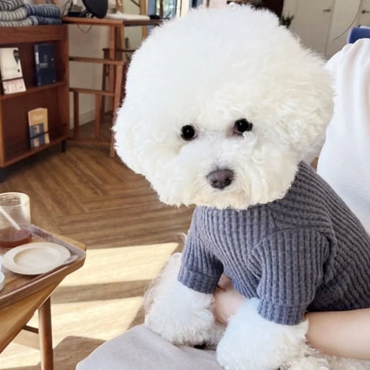 Letter Print Pet Sweatshirt – Soft Autumn Shirt for Dogs & Cats