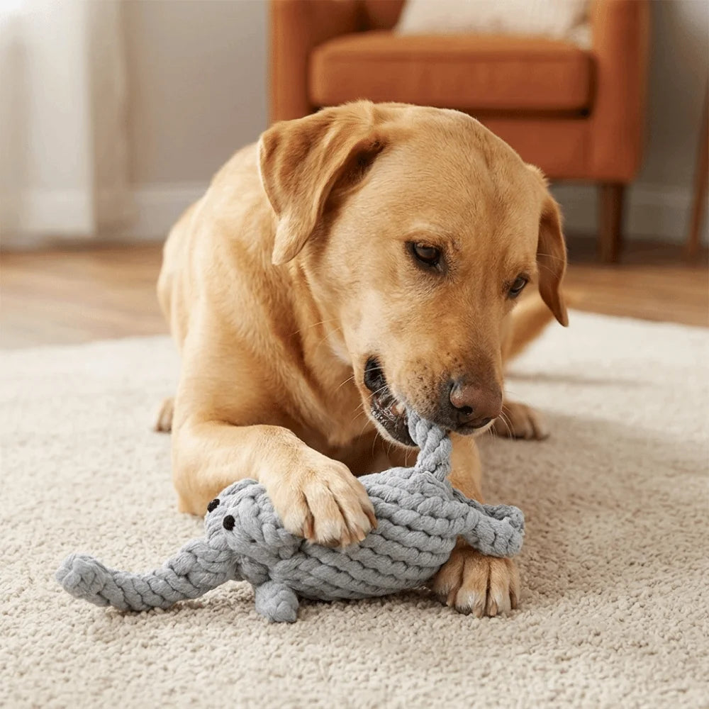 Multi-Knot Cotton Rope Dog Toy – Dental Chew & Tug Toy