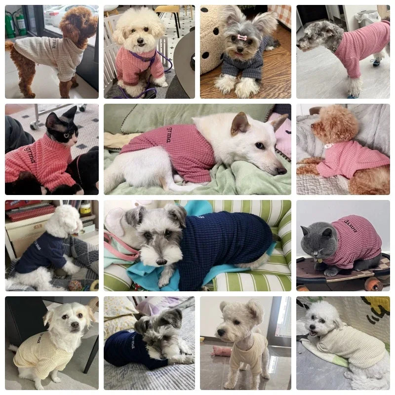 Letter Print Pet Sweatshirt – Soft Autumn Shirt for Dogs & Cats