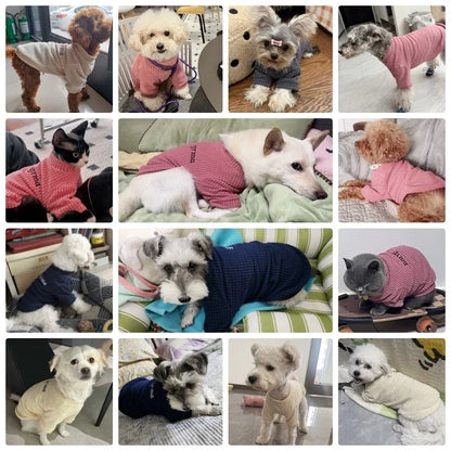 Letter Print Pet Sweatshirt – Soft Autumn Shirt for Dogs & Cats