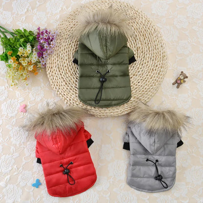 Warm Padded Pet Winter Jacket – Cozy Outdoor Coat for Dogs & Cats
