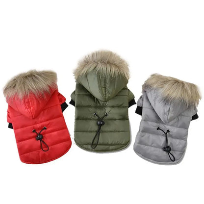 Warm Padded Pet Winter Jacket – Cozy Outdoor Coat for Dogs & Cats