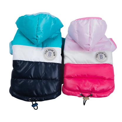 Thickened Padded Dog Winter Vest – Warm Outdoor Pet Jacket