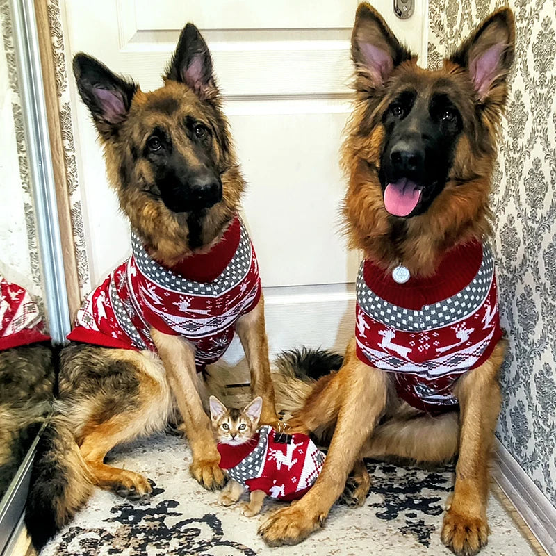 Christmas Elk Knit Pet Sweater – Cozy Holiday Pullover