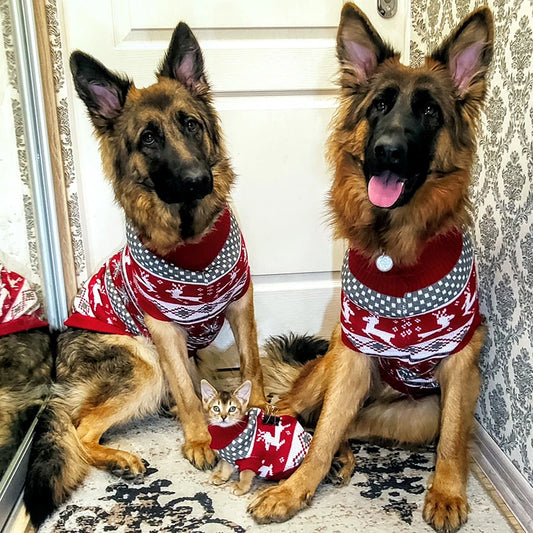 Christmas Elk Knit Pet Sweater – Cozy Holiday Pullover