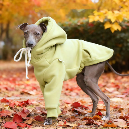 Fleece Greyhound Hoodie – Warm Long-Sleeve Winter Sweatshirt for Medium Dogs
