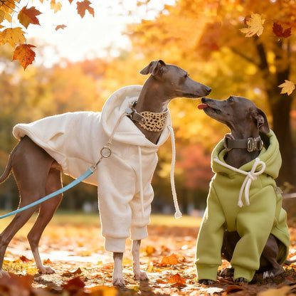 Fleece Greyhound Hoodie – Warm Long-Sleeve Winter Sweatshirt for Medium Dogs
