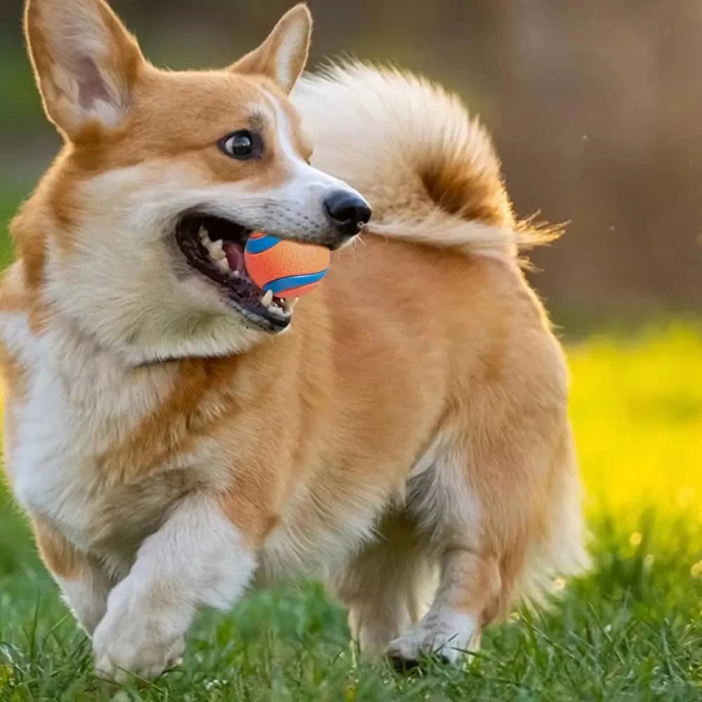 Tough Elastic Dog Fetch Ball – Durable Chew & Bounce Toy