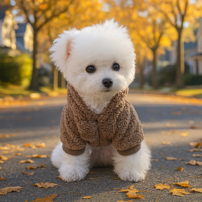 Lamb Wool Pet Sweater – Korean Style Warm Winter Pullover for Dogs & Cats