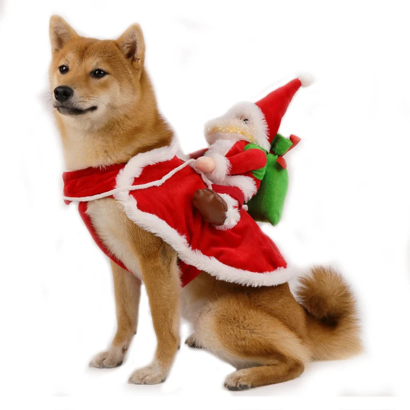 Funny Riding Santa Dog Costume – Christmas Holiday Outfit