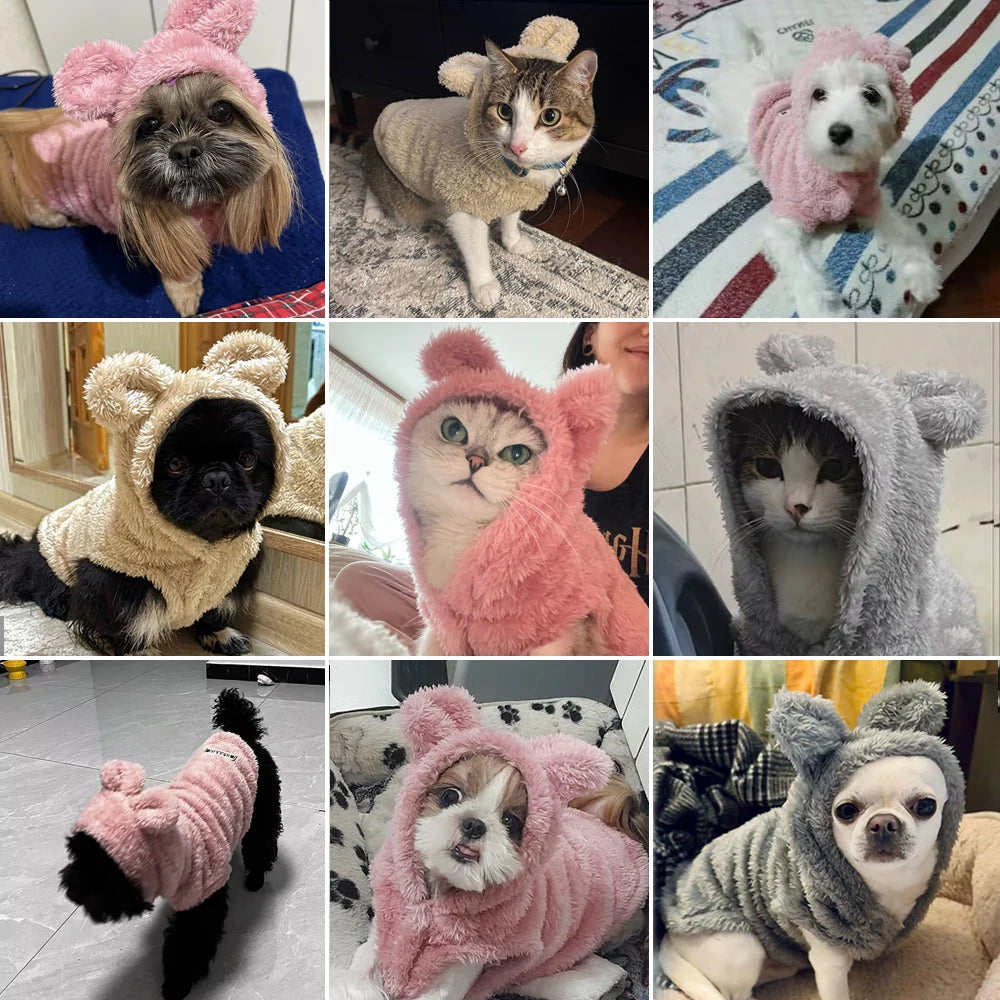 Rabbit Ear Fleece Pet Hoodie – Soft Plush Winter Coat for Dogs & Cats