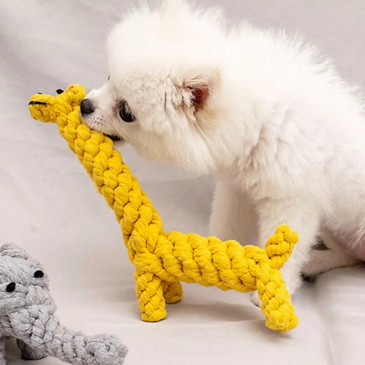 Rope Knot Ball Dog Toy – Durable Chew & Dental Play Toy