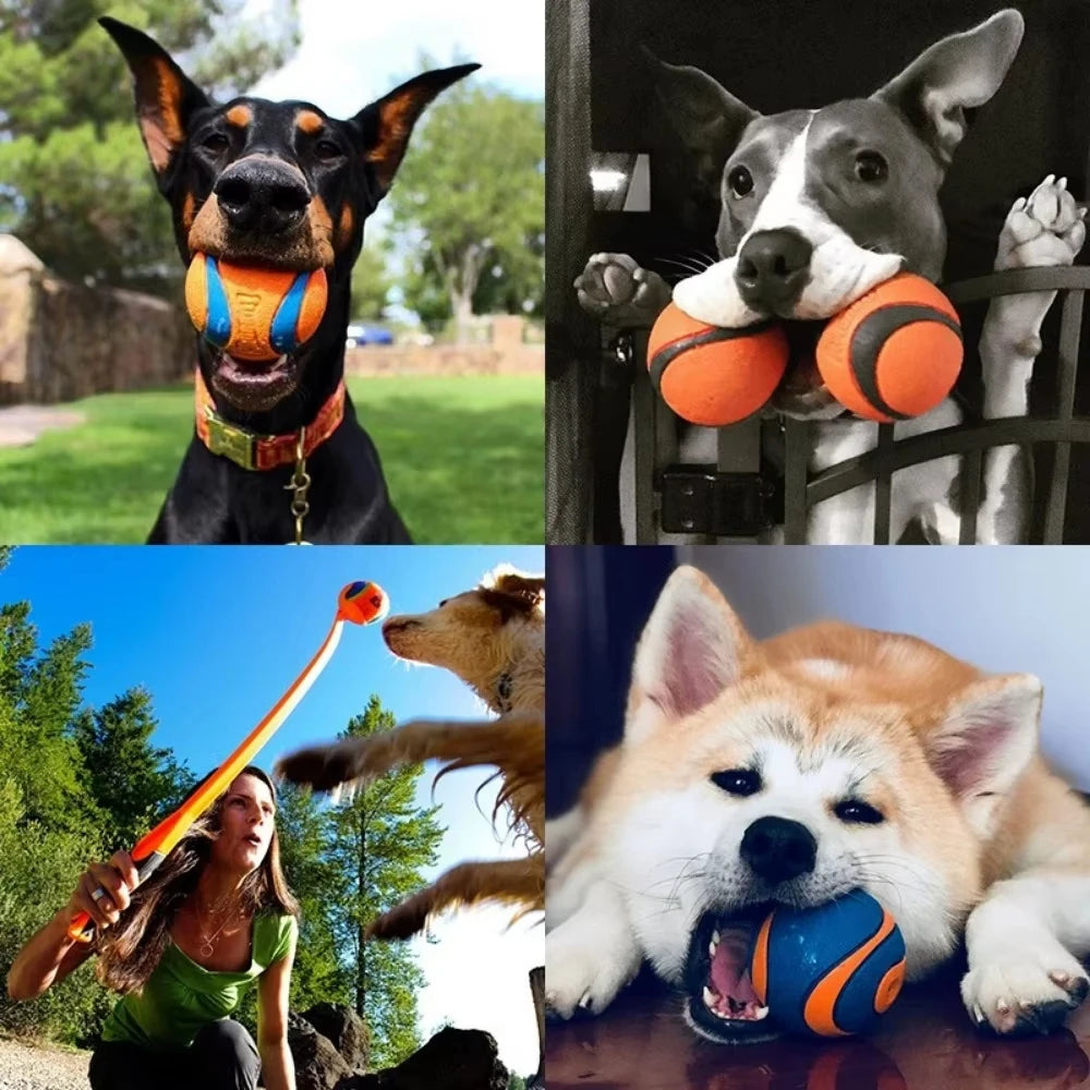Tough Elastic Dog Fetch Ball – Durable Chew & Bounce Toy