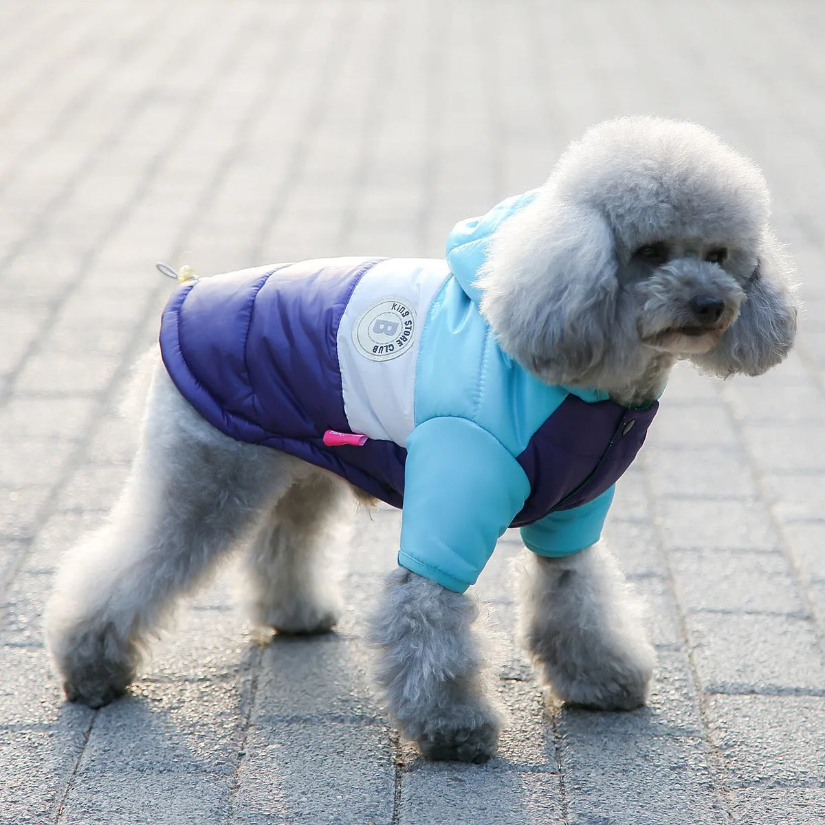 Thickened Padded Dog Winter Vest – Warm Outdoor Pet Jacket