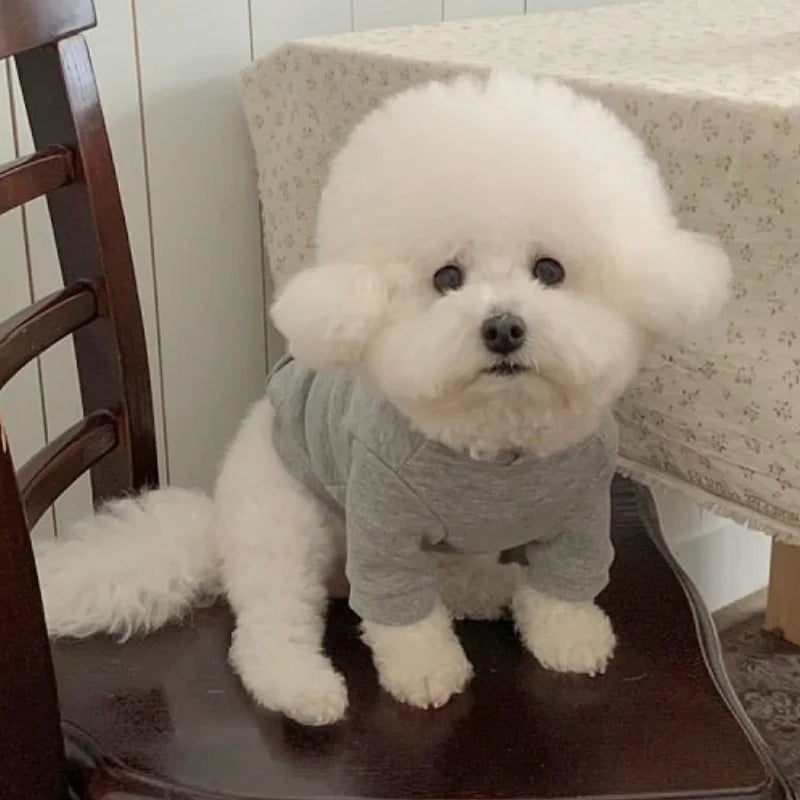 Letter Print Pet Hoodie – Soft Warm Pullover for Dogs & Cats