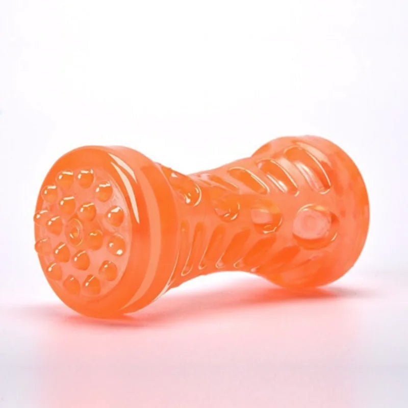 Bite-Resistant Toothbrush Bone – Dental Chew Dog Toy
