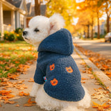 Blue sweater