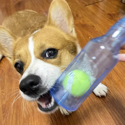 Beer Bottle Dog Chew Toy with Tennis Ball – Squeaky Interactive Dental Toy