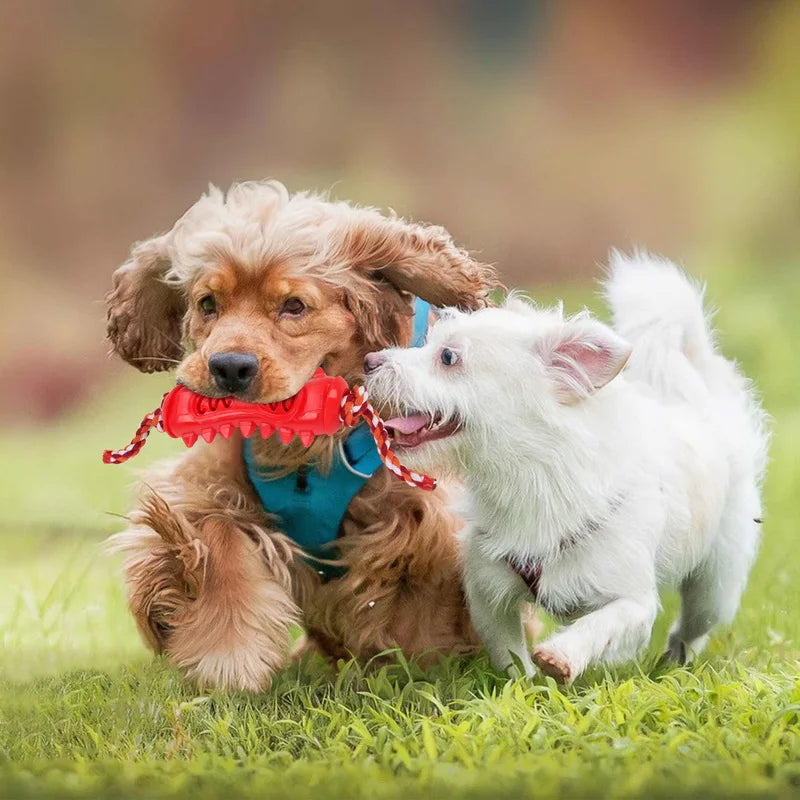 Interactive Treat-Hiding Chew Stick – Dental Dog Toy