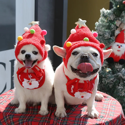 Funny Christmas Pet Hat & Bandana – Santa Cosplay Costume
