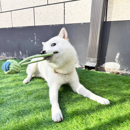 Interactive Cotton Rope Dog Ball – Dental Chew & Tug Toy