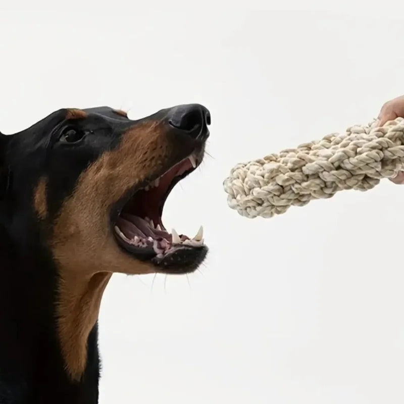 Heavy-Duty Dog Rope Toy – Tough Tug & Chew Toy