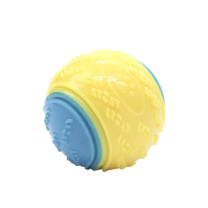 Interactive Squeaky Dog Ball – Dental Chew & Play Toy