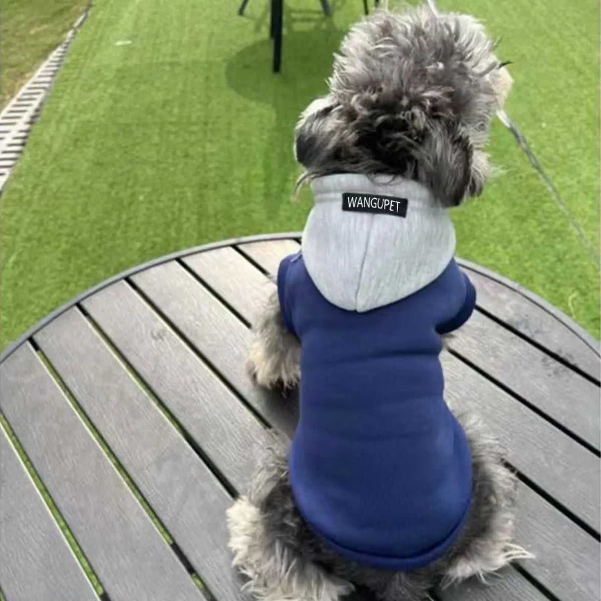 Soft Winter Dog Hoodie – Warm Sweatshirt for Small & Medium Dogs