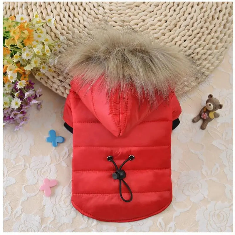 Warm Padded Pet Winter Jacket – Cozy Outdoor Coat for Dogs & Cats