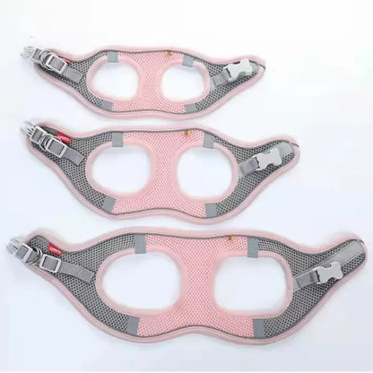 Reflective Pet Harness & Leash Set – Breathable Adjustable Vest