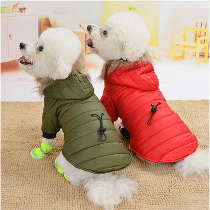 Warm Padded Pet Winter Jacket – Cozy Outdoor Coat for Dogs & Cats