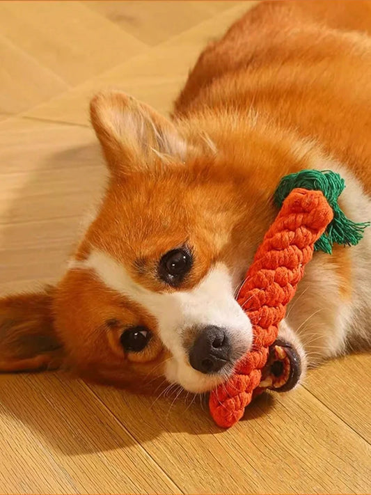 Rope Knot Ball Dog Toy – Durable Chew & Dental Play Toy