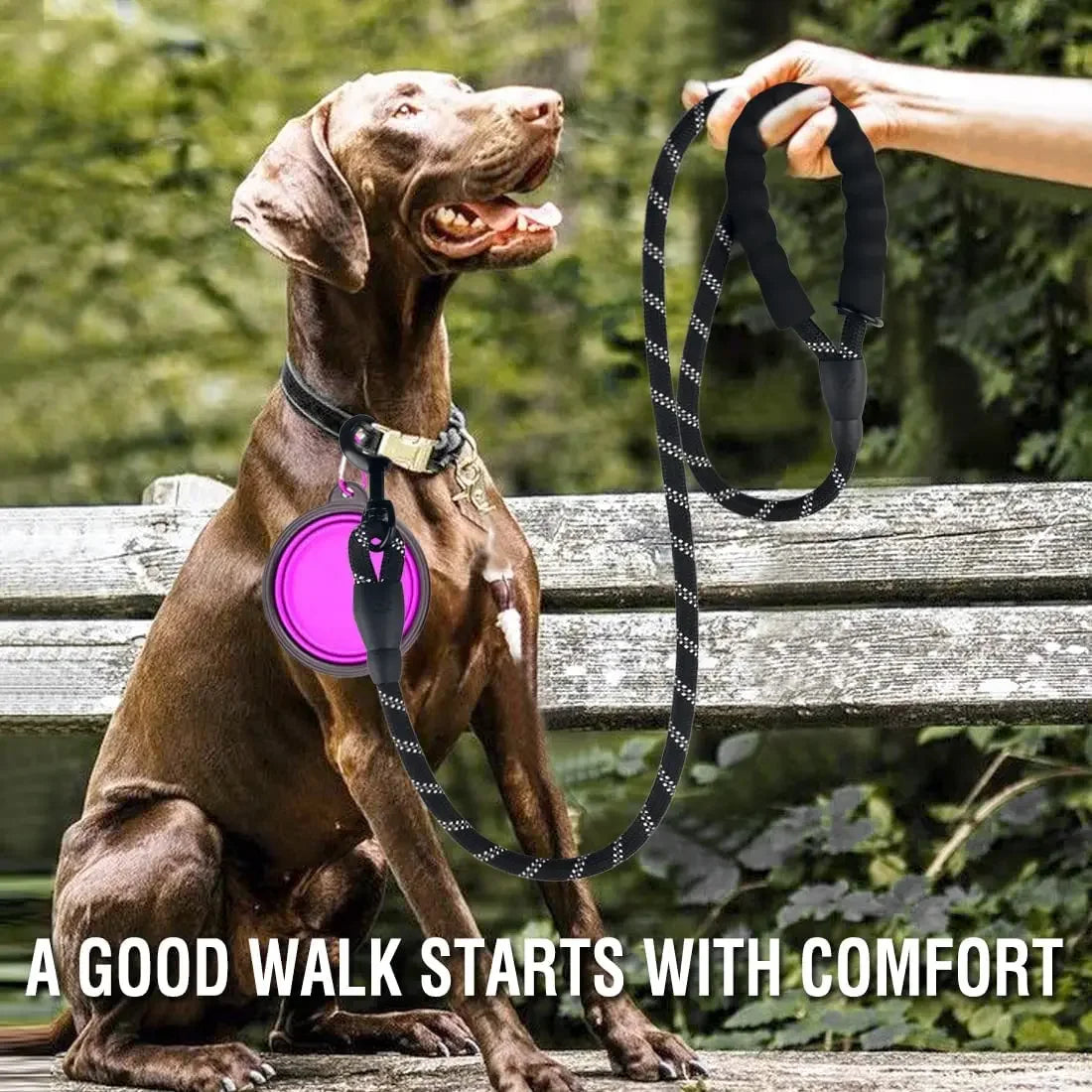 Strong Reflective Dog Leash – Durable Walking & Training Lead